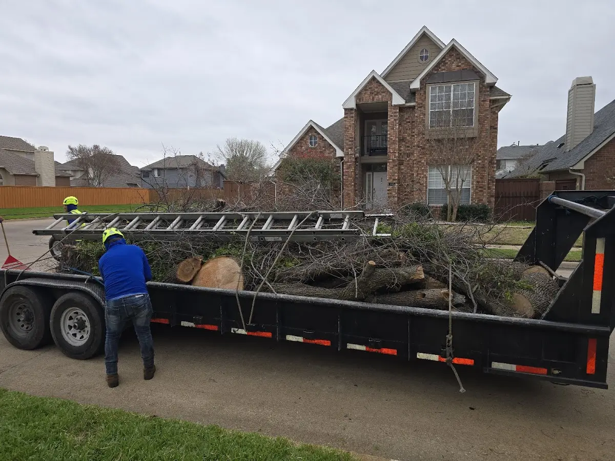Expert Tree Pest Control with proper safety equipment in West Newfield
